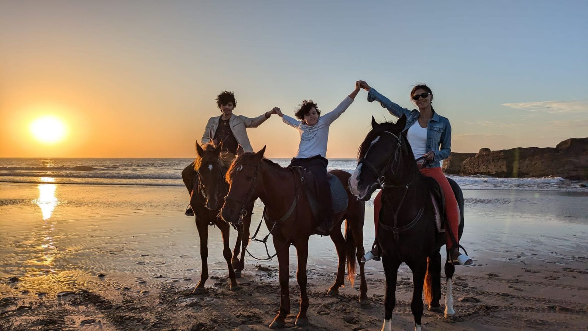 Cours d'équitation pour débutants 1 heur